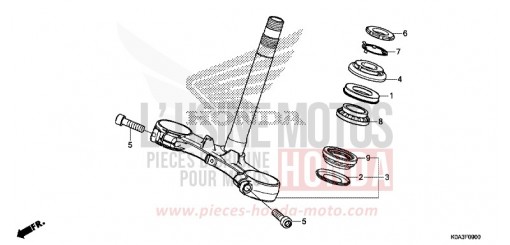 PIANTONE STERZO CBF300NAJ di 2018